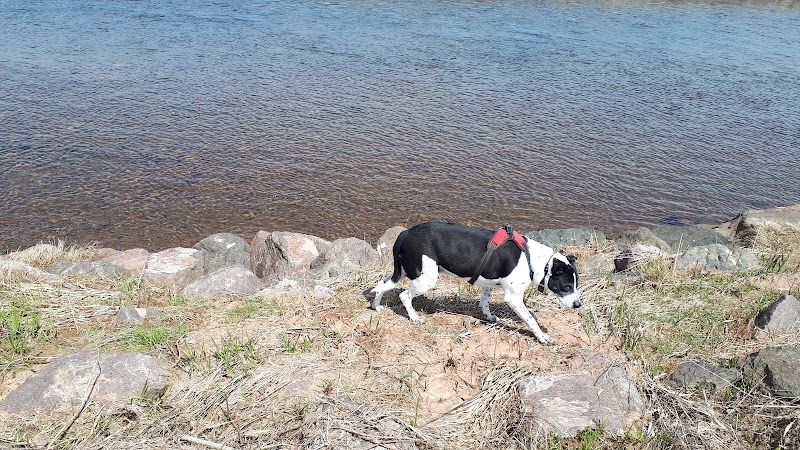 Truro - Bible Hill Off-Leash Dog Park dog park in Truro, Nova Scotia
