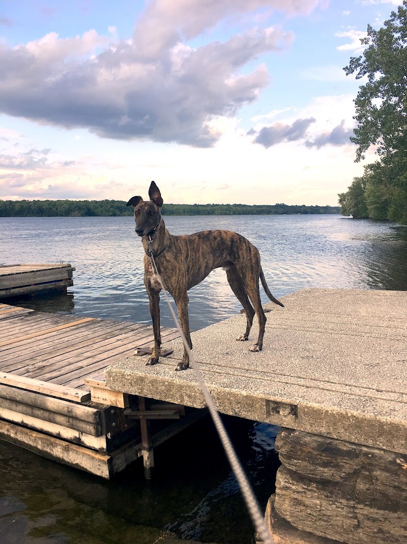 Hawkesbury Dog Park dog park in Hawkesbury, Ontario