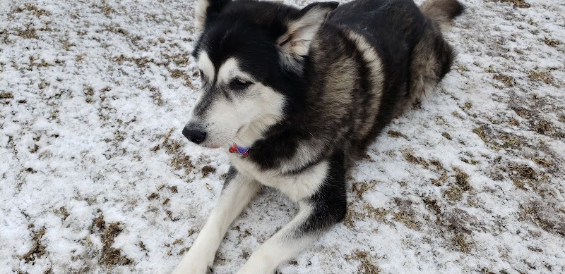 Hawkesbury Dog Park dog park in Hawkesbury, Ontario