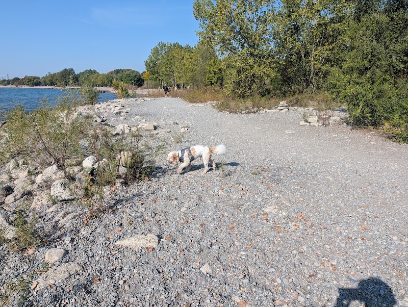 Kew Gardens Dog Park dog park in Toronto, Ontario