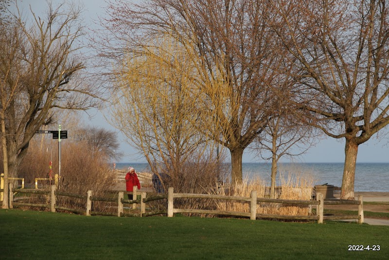 Kew Gardens Dog Park dog park in Toronto, Ontario