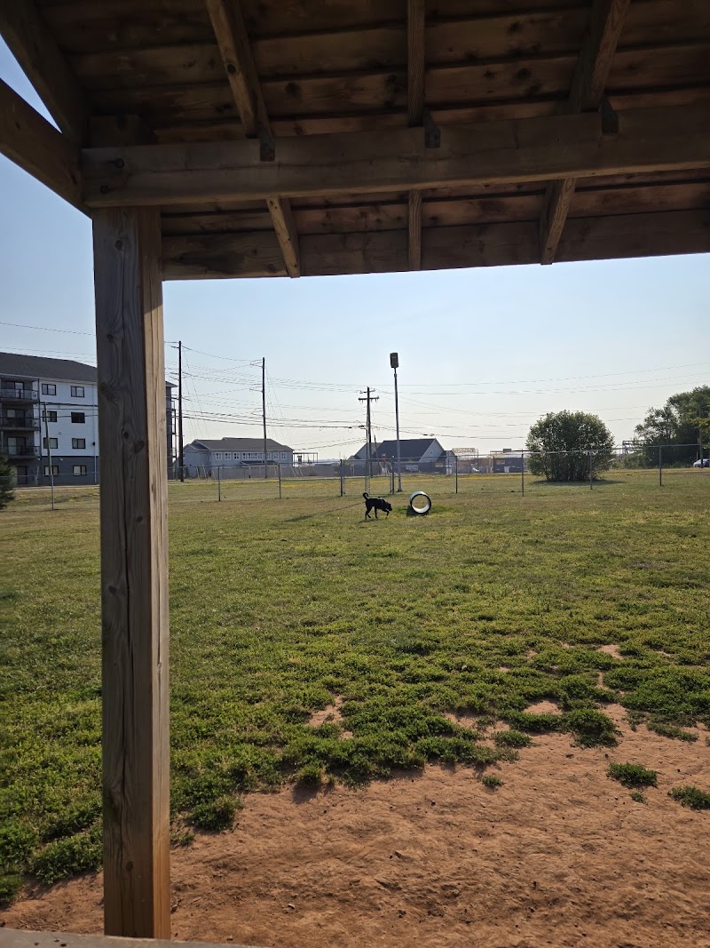 Dog Fun Park dog park in Charlottetown, Prince Edward Island