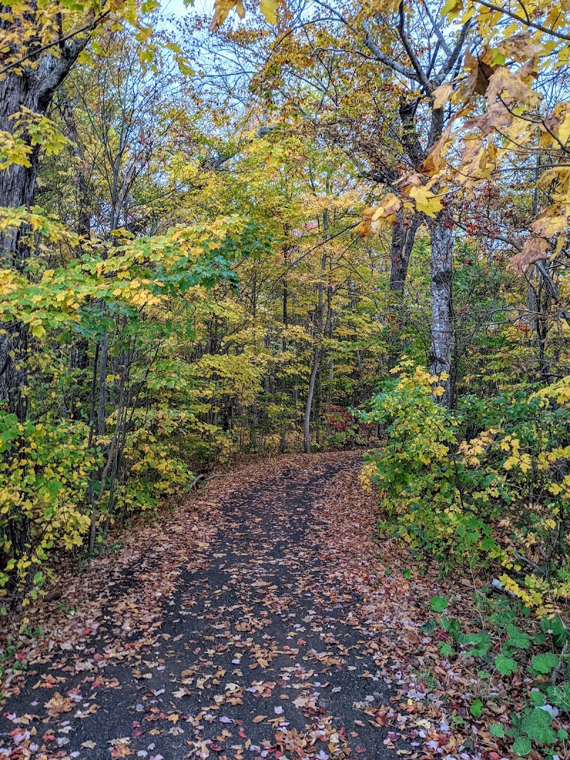 Dog Fun Park dog park in Charlottetown, Prince Edward Island