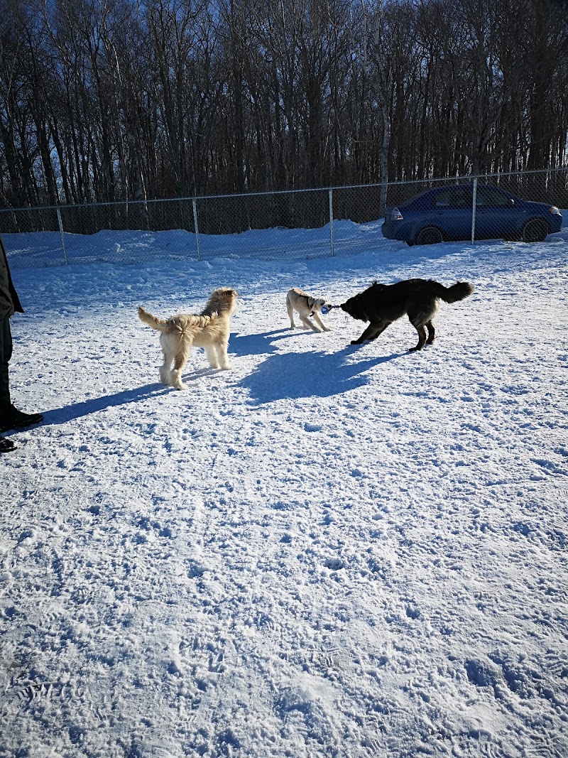 Dog Fun Park dog park in Charlottetown, Prince Edward Island