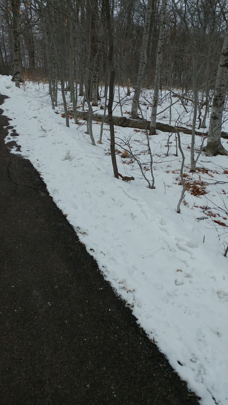Dog Fun Park dog park in Charlottetown, Prince Edward Island