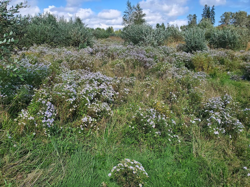 Upton Farmlands - Off Leash Area dog park in Charlottetown, Prince Edward Island