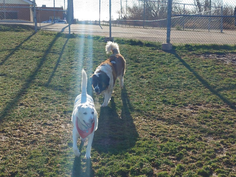 Summerside Dog Park dog park in Summerside, Prince Edward Island