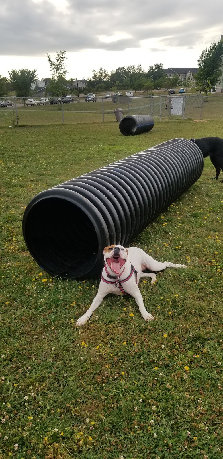 Stratford Dog Park dog park in Stratford, Prince Edward Island