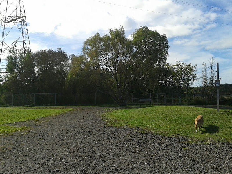 Isaac's Run Dog Park dog park in Riverview, New Brunswick