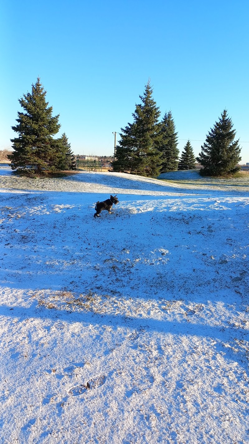 Isaac's Run Dog Park dog park in Riverview, New Brunswick
