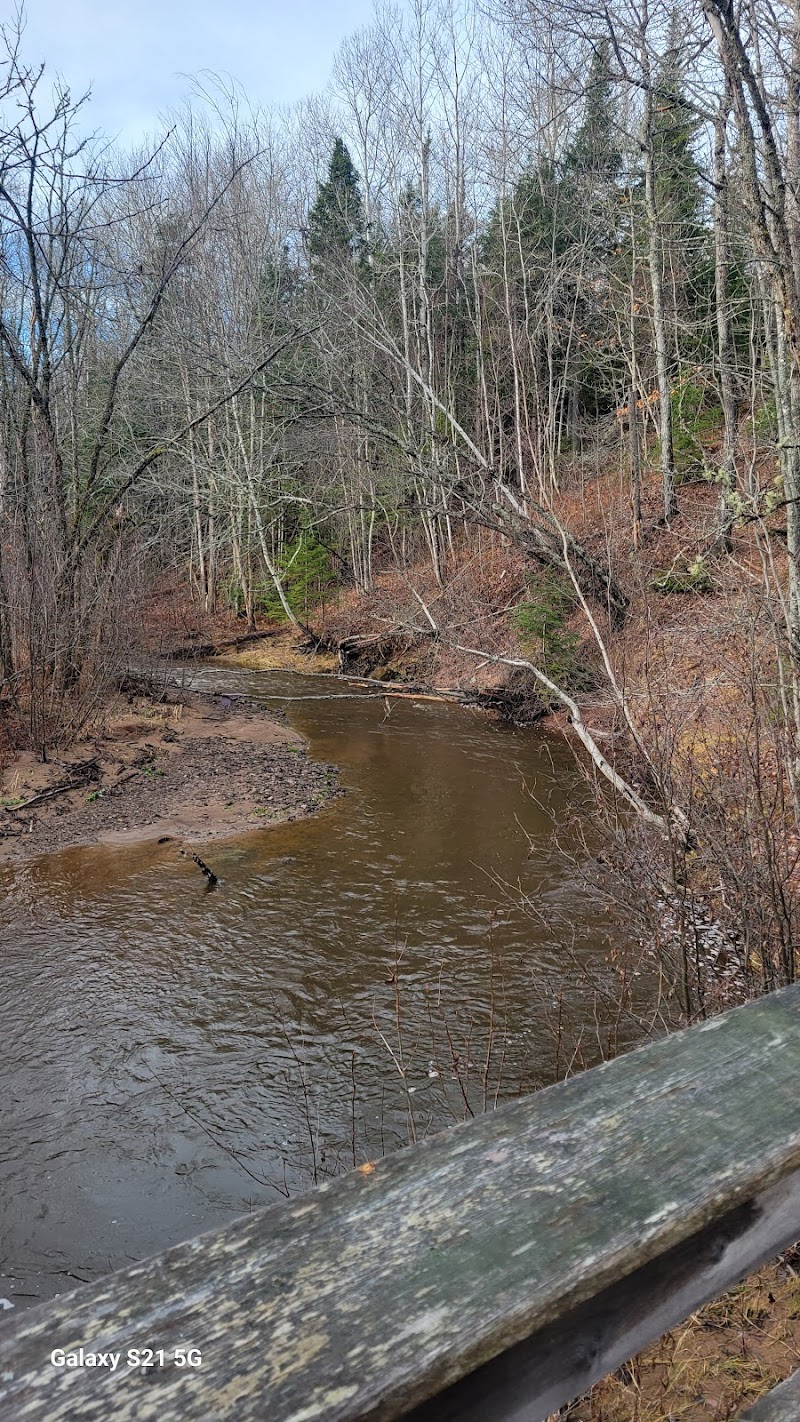 Centennial Park Dog Park dog park in Moncton, New Brunswick