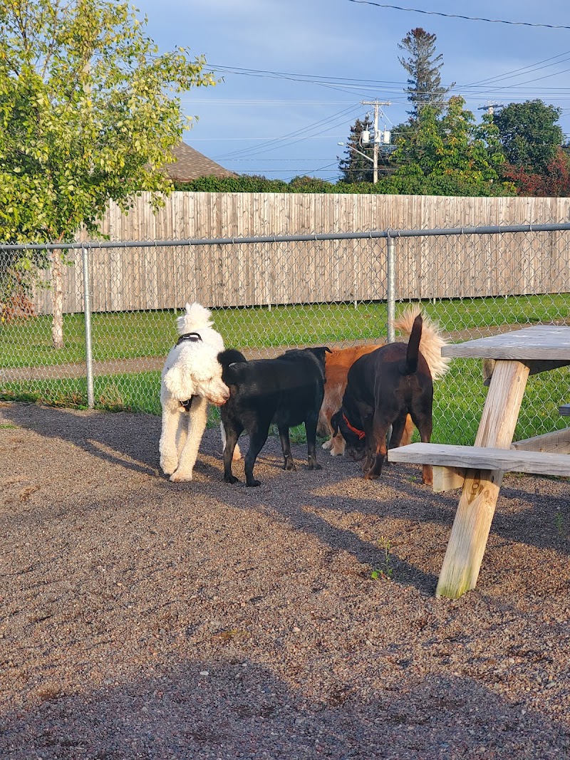 Shediac Dog Park dog park in Shediac, New Brunswick