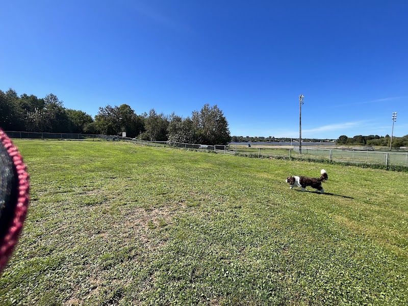 Dog Park dog park in Bathurst, New Brunswick