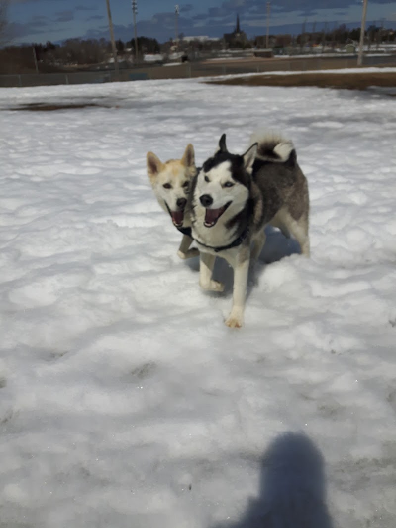 Dog Park dog park in Bathurst, New Brunswick