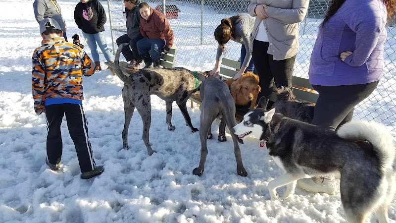Homestar Off Leash Dog Park dog park in Quispamsis, New Brunswick