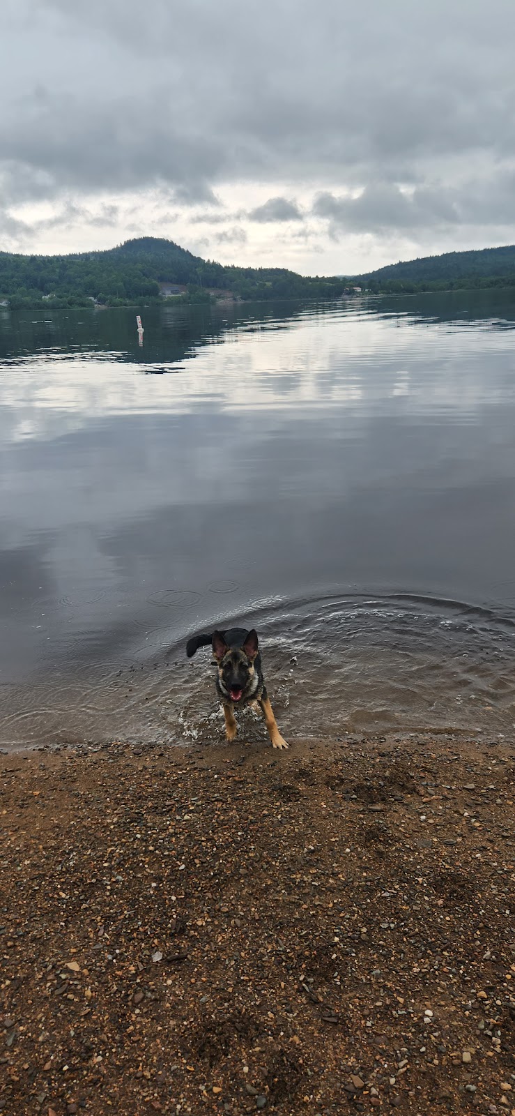 Gondola Point Beach Dog Park dog park in Quispamsis, New Brunswick