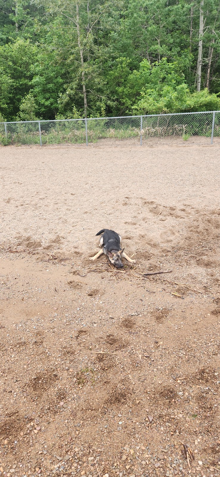 Gondola Point Beach Dog Park dog park in Quispamsis, New Brunswick