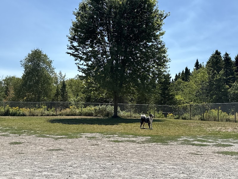 Saint John Dog Park dog park in Saint John, New Brunswick