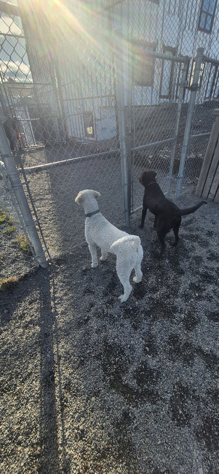 JDI Westside Community Dog Park dog park in Saint John, New Brunswick