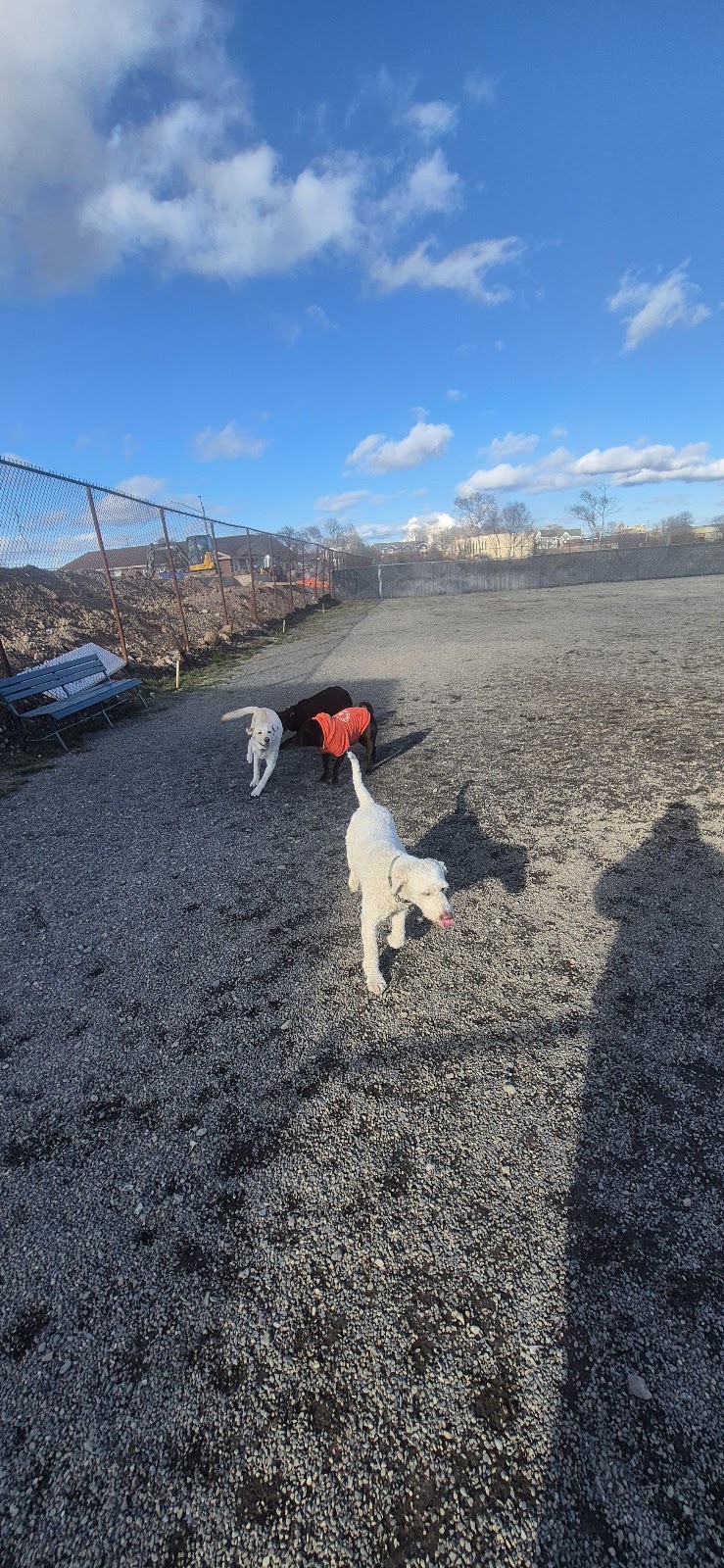 JDI Westside Community Dog Park dog park in Saint John, New Brunswick