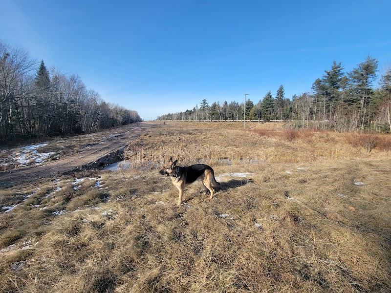 Oromocto Dog Park dog park in Oromocto, New Brunswick