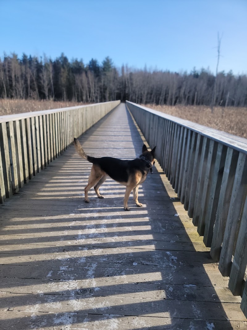 Oromocto Dog Park dog park in Oromocto, New Brunswick