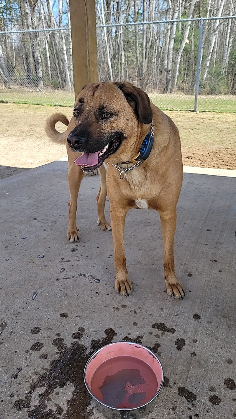 Oromocto Dog Park dog park in Oromocto, New Brunswick