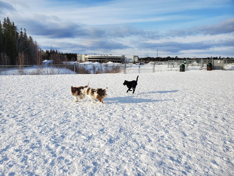Knowledge Park Dog Park dog park in Fredericton, New Brunswick
