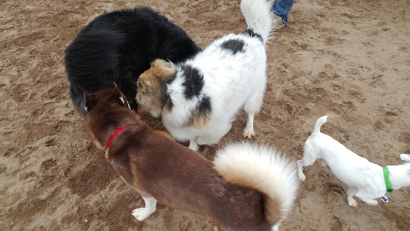 Knowledge Park Dog Park dog park in Fredericton, New Brunswick