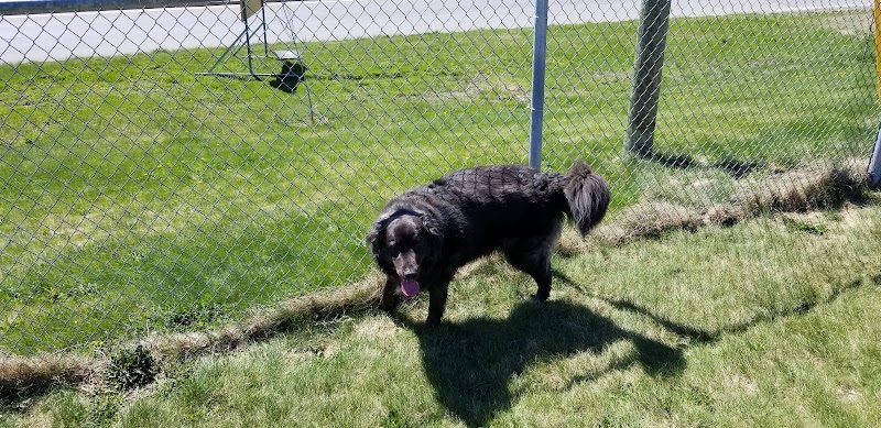 Knowledge Park Dog Park dog park in Fredericton, New Brunswick