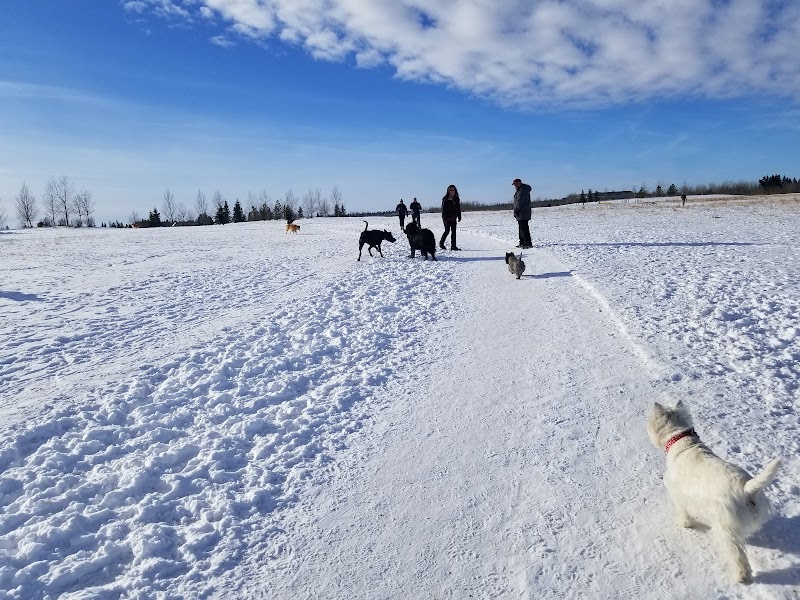 Oxbows Off Leash Dog Park dog park in Red Deer, Alberta