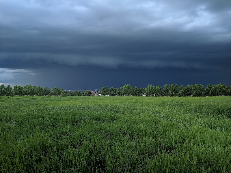 Oxbows Off Leash Dog Park dog park in Red Deer, Alberta