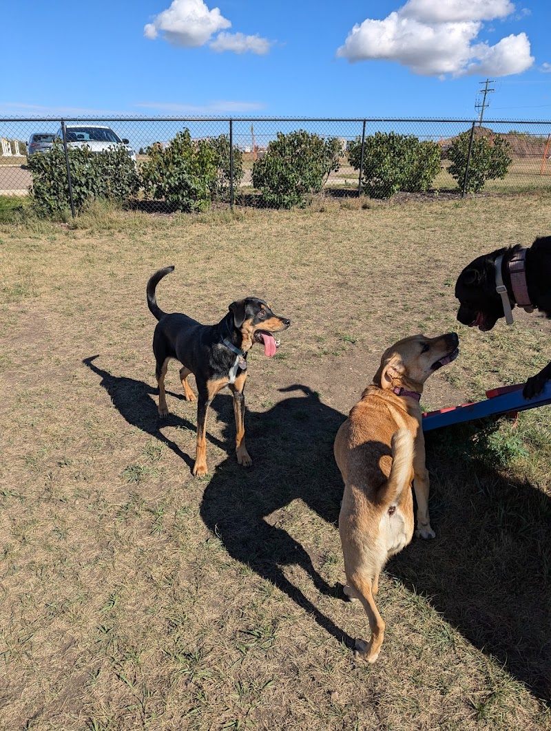 Blackfalds Dog Park dog park in Blackfalds, Alberta