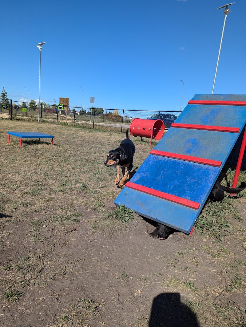 Blackfalds Dog Park dog park in Blackfalds, Alberta