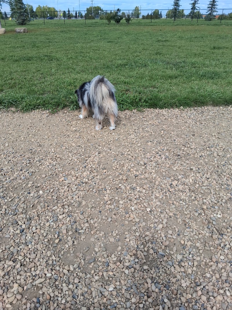 Blackfalds Dog Park dog park in Blackfalds, Alberta
