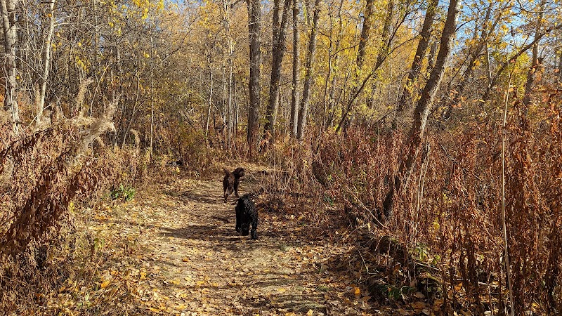Deermound off-leash dog park dog park in Sherwood Park, Alberta
