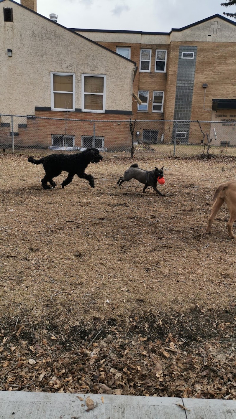 Alberta Ave Dog Park dog park in Edmonton, Alberta
