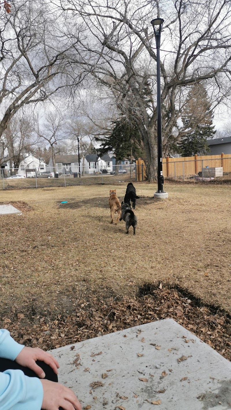 Alberta Ave Dog Park dog park in Edmonton, Alberta