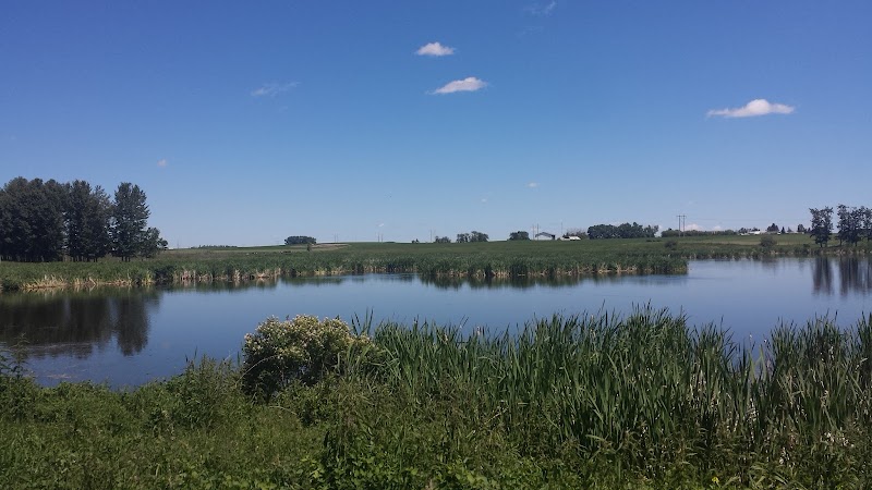 Olds Off-Leash Dog Park dog park in Mountain View County, Alberta