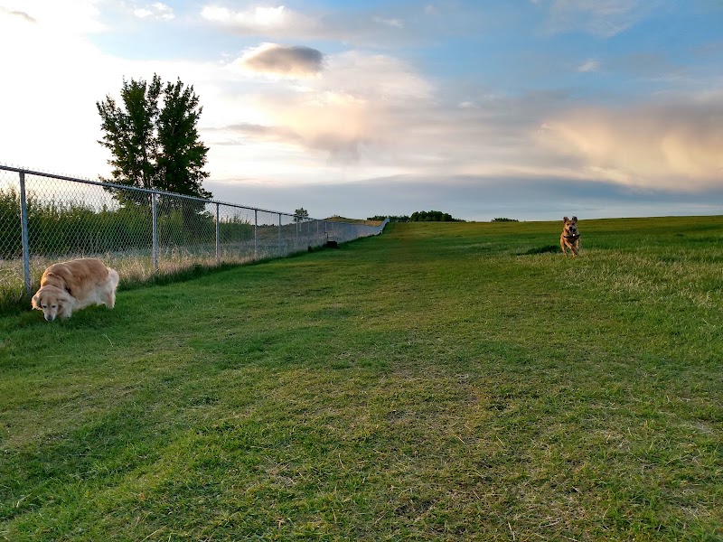 Olds Off-Leash Dog Park dog park in Mountain View County, Alberta