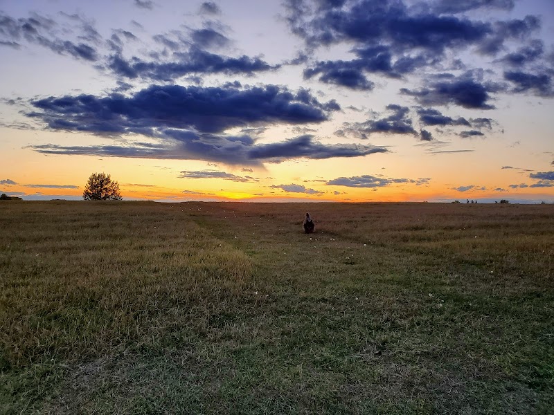 Olds Off-Leash Dog Park dog park in Mountain View County, Alberta