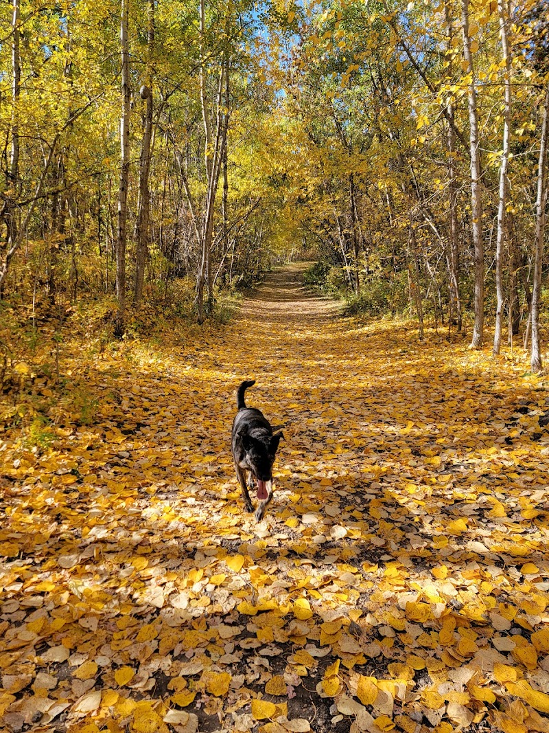 Buena Vista Dog Park - Edmonton dog park in Edmonton, Alberta