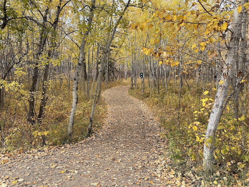 Buena Vista Dog Park - Edmonton dog park in Edmonton, Alberta