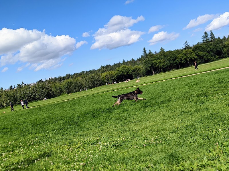 Buena Vista Dog Park - Edmonton dog park in Edmonton, Alberta