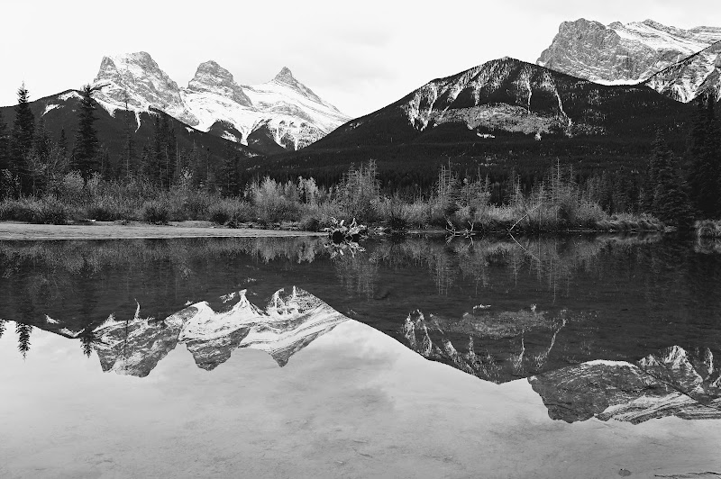 Canmore Off Leash Dog Area dog park in Canmore, Alberta