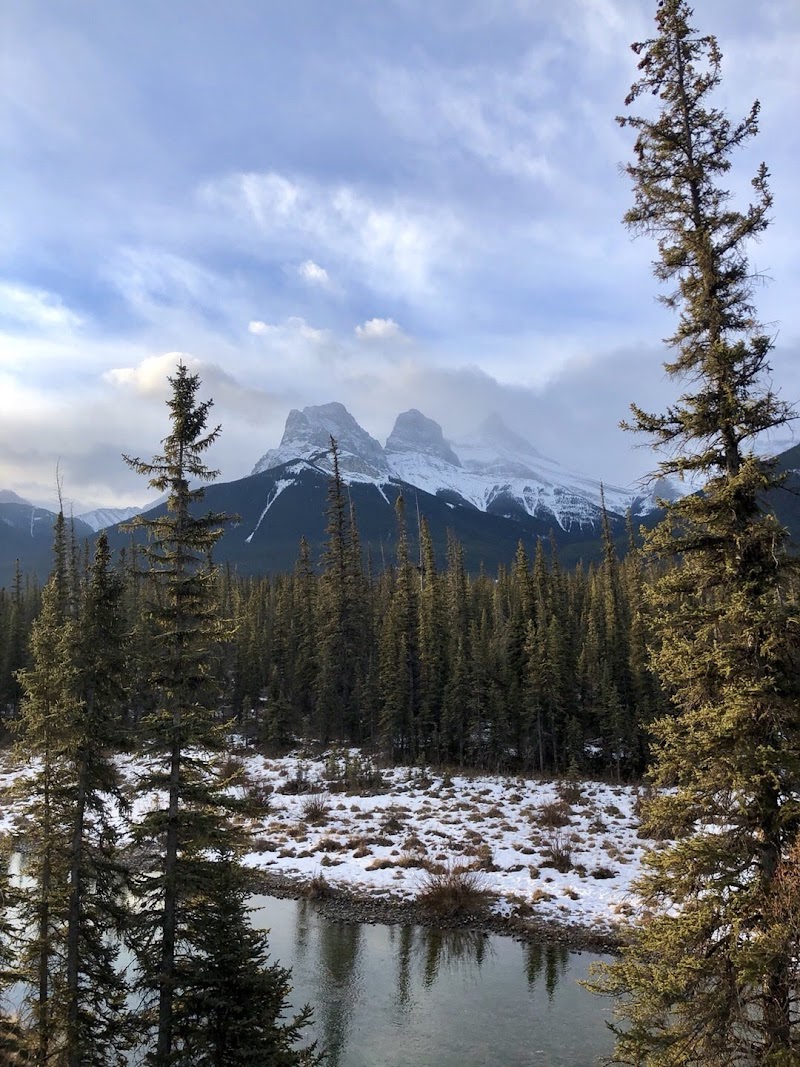 Canmore Off Leash Dog Area dog park in Canmore, Alberta