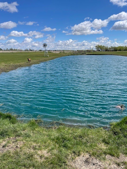 Pawsitively Wild 'N' Free dog park in Indus, Alberta