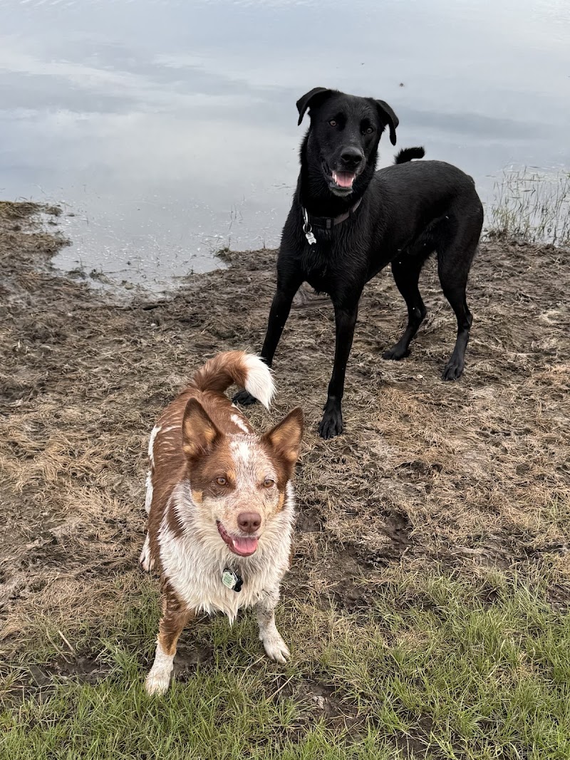 Pawsitively Wild 'N' Free dog park in Indus, Alberta