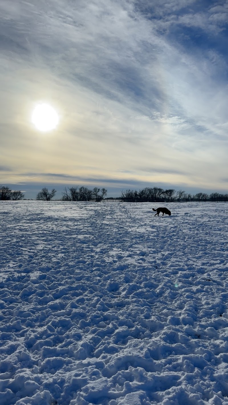 Pawsitively Wild 'N' Free dog park in Indus, Alberta