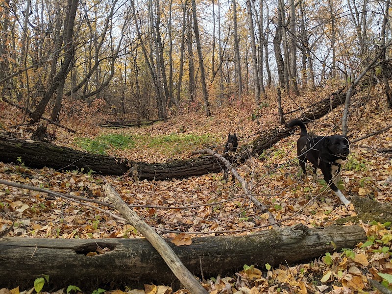 Jackie Parker Off-Leash Dog Park dog park in Edmonton, Alberta